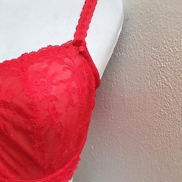 Bra & Panty Set Sizes 38DD/1x Red Lace By Felina Lingerie & Donna Loren - Picture 10 of 16